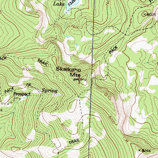 Topographic Map of Skalkaho Mountain, MT