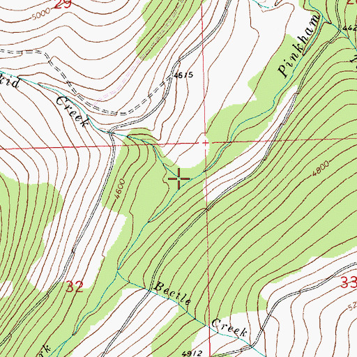 Topographic Map of Skid Creek, MT