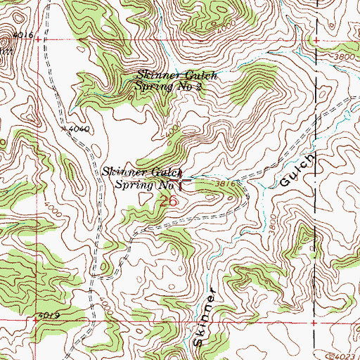 Topographic Map of Skinner Gulch Spring Number One, MT