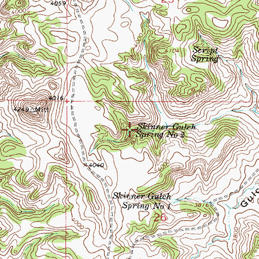 Topographic Map of Skinner Gulch Spring Number Two, MT