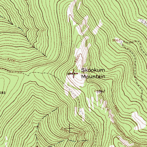 Topographic Map of Skookum Mountain, MT