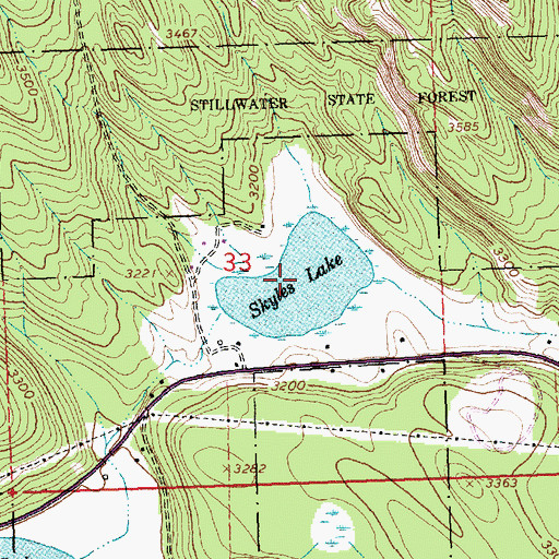 Topographic Map of Skyles Lake, MT