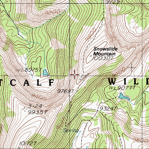 Topographic Map of Skyline Trail, MT