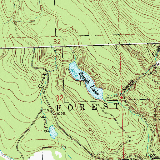 Topographic Map of Smith Lake, MT