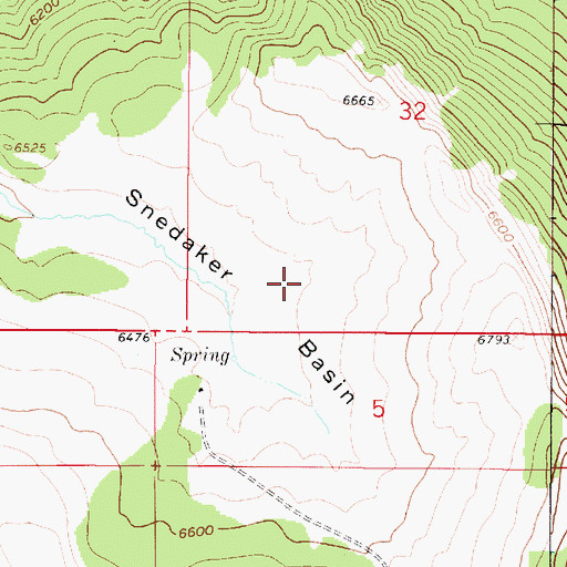 Topographic Map of Snedaker Basin, MT