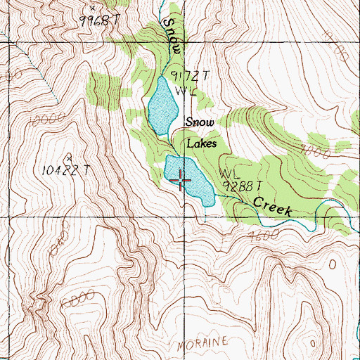 Topographic Map of Snow Lakes, MT