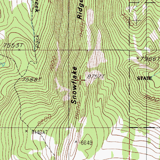 Topographic Map of Snowflake Ridge, MT