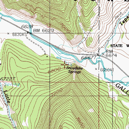 Topographic Map of Snowflake Springs, MT