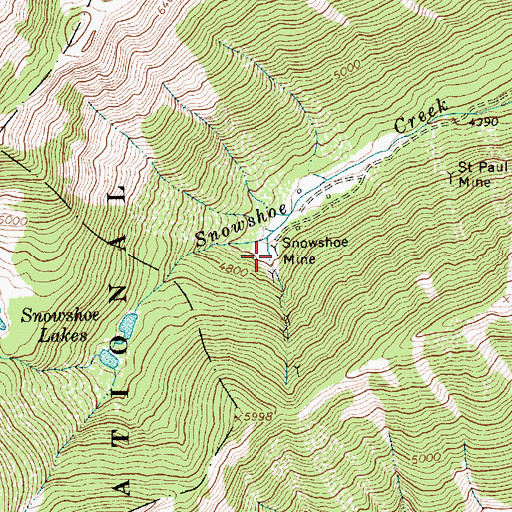 Topographic Map of Snowshoe Mine, MT