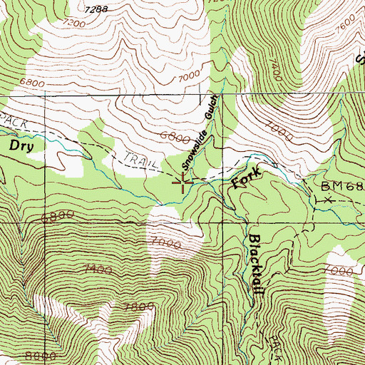 Topographic Map of Snowslide Gulch, MT