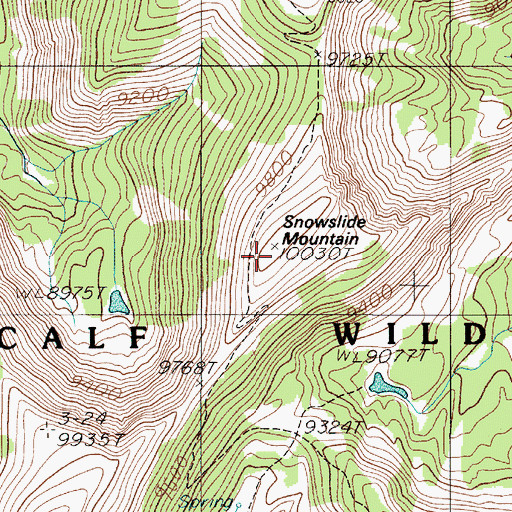 Topographic Map of Snowslide Mountain, MT