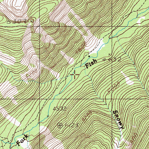 Topographic Map of Snowy Gulch, MT