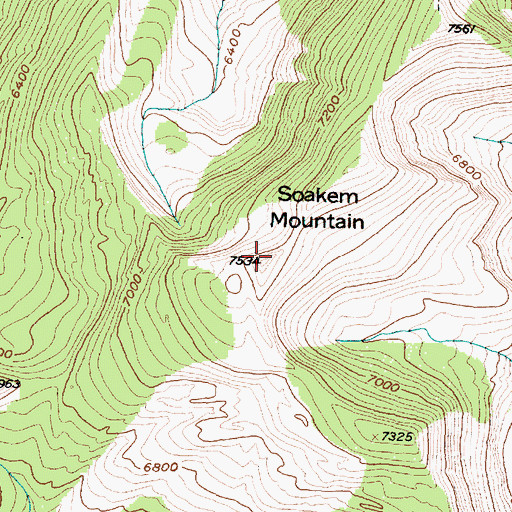 Topographic Map of Soakem Mountain, MT