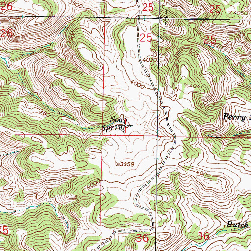 Topographic Map of Soap Spring, MT