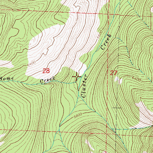 Topographic Map of Some Creek, MT