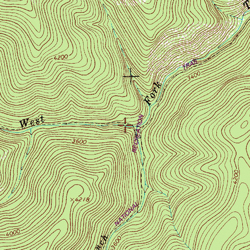Topographic Map of South Branch West Fork Trout Creek, MT