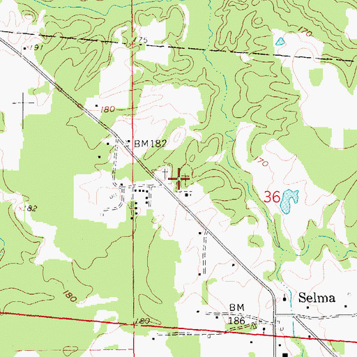 Topographic Map of Selma Cemetery, AR