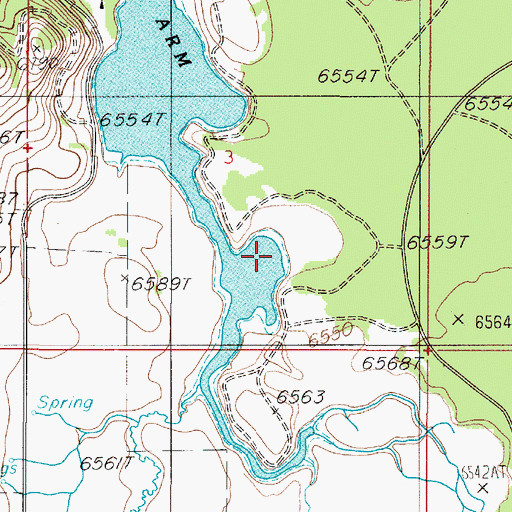 Topographic Map of South Fork Arm, MT