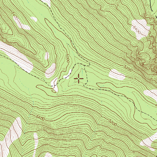 Topographic Map of South Fork Bear Creek, MT