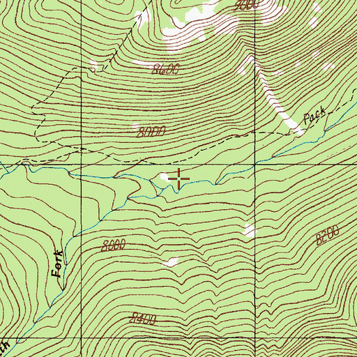 Topographic Map of South Fork Bridge Creek, MT