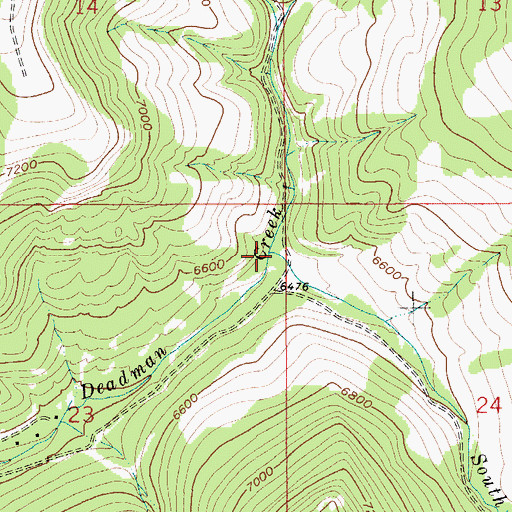 Topographic Map of South Fork Deadman Creek, MT