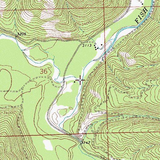 Topographic Map of South Fork Fish Creek, MT