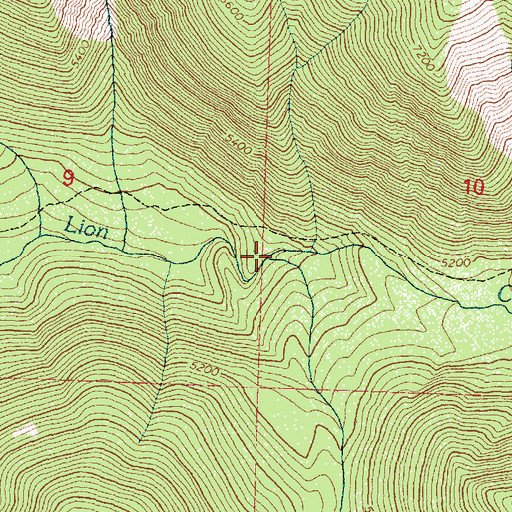 Topographic Map of South Fork Lion Creek, MT