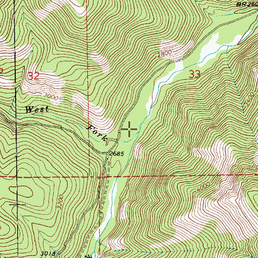 Topographic Map of South Fork Pilgrim Creek, MT