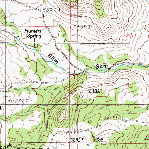 Topographic Map of South Fork Slim Sam Creek, MT