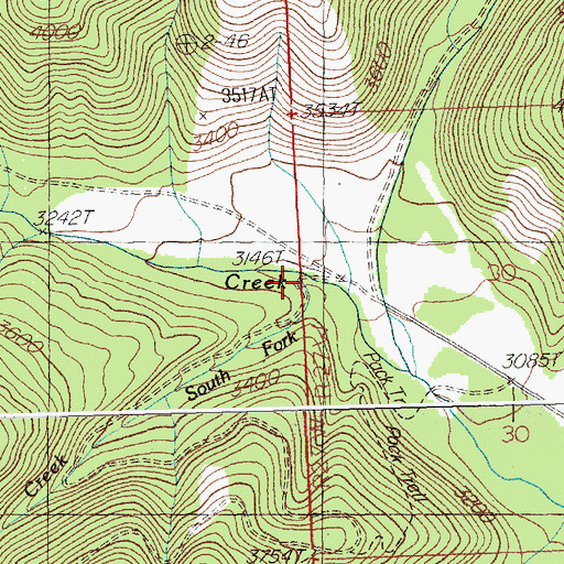 Topographic Map of South Fork Tamarack Creek, MT