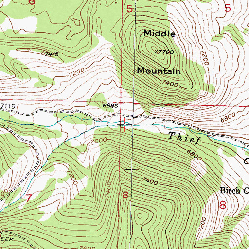 Topographic Map of South Fork Thief Creek, MT