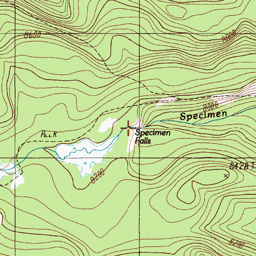 Topographic Map of Specimen Falls, MT