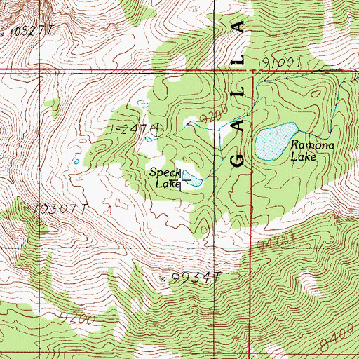 Topographic Map of Speck Lake, MT
