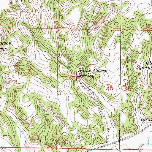 Topographic Map of Spike Camp Spring, MT
