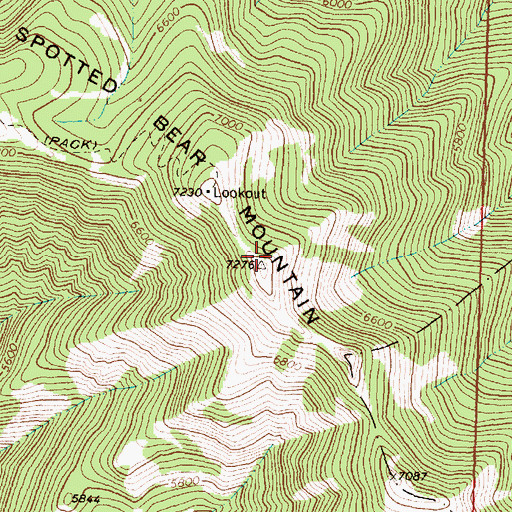 Topographic Map of Spotted Bear Mountain, MT