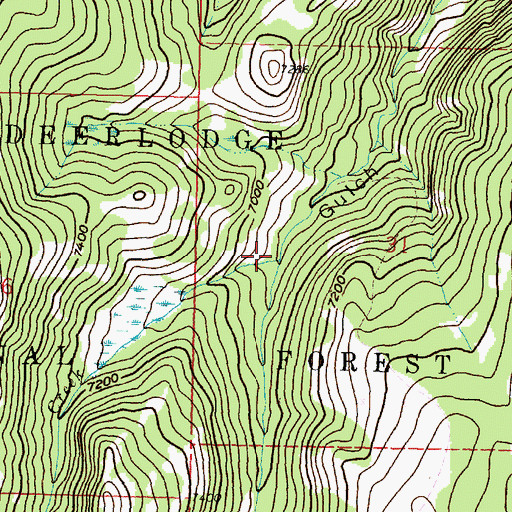 Topographic Map of Spring Creek, MT