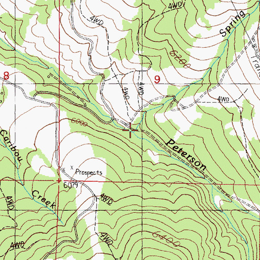 Topographic Map of Spring Creek, MT