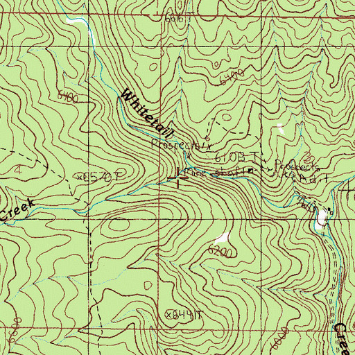 Topographic Map of Spring Creek, MT