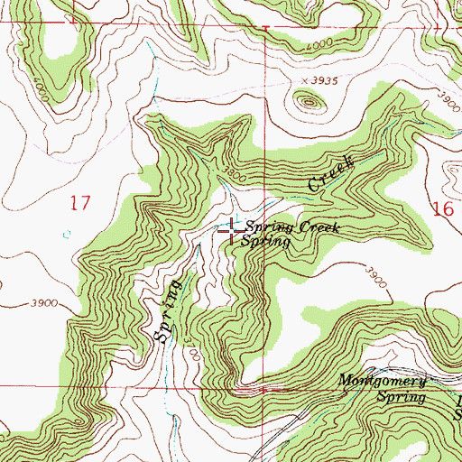 Topographic Map of Spring Creek Spring, MT