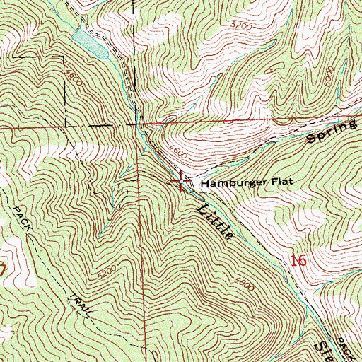 Topographic Map of Spring Gulch, MT