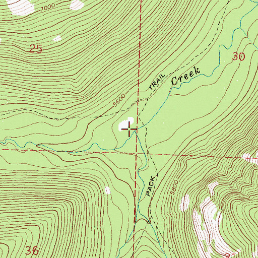 Topographic Map of Spruce Creek, MT