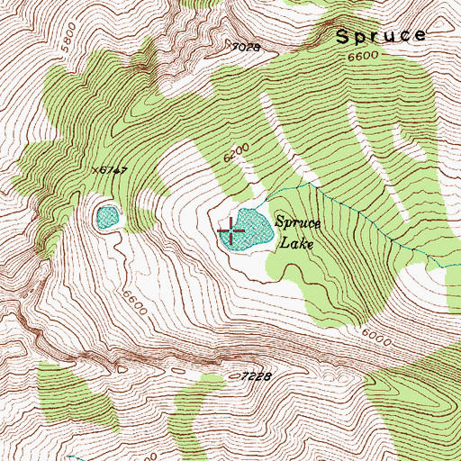 Topographic Map of Spruce Lake, MT