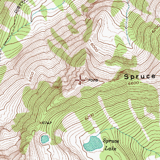 Topographic Map of Spruce Point, MT