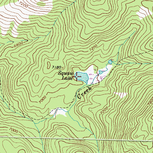 Topographic Map of Lovell Lake, MT