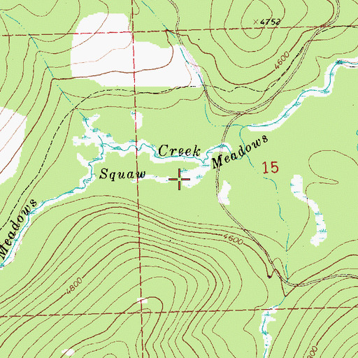 Topographic Map of Squaw Meadows, MT