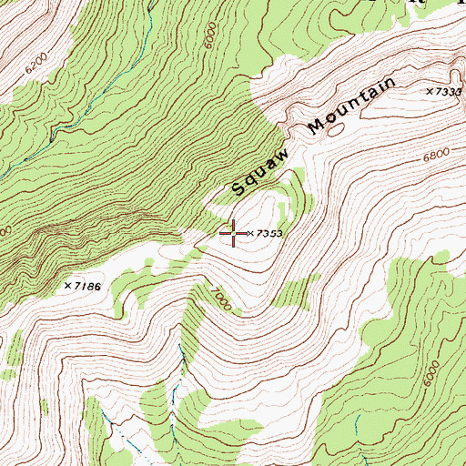 Topographic Map of Dancing Lady Mountain, MT