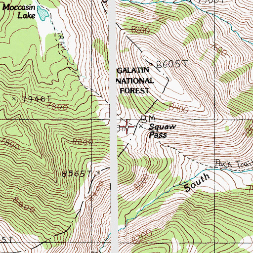 Topographic Map of Meyers Creek Pass, MT