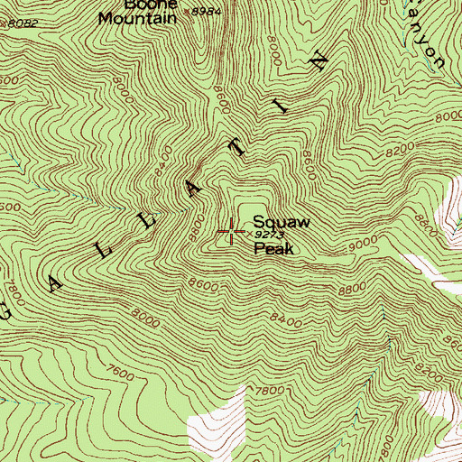 Topographic Map of Morning Star Peak, MT