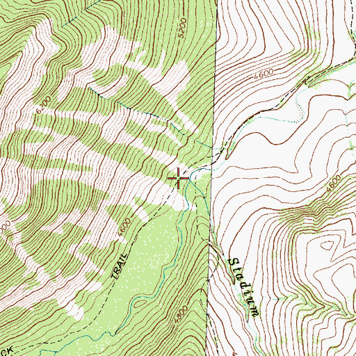 Topographic Map of Stadium Creek, MT