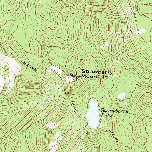 Topographic Map of Strawberry Mountain, MT
